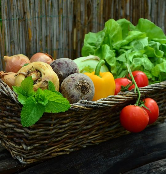 Les 20 aliments qui aide votre organisme à perdre du poids Les 20 aliments qui aide votre organisme à perdre du poids