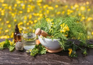 Naturopathie : mode d’emploi et bienfaits pour notre santé