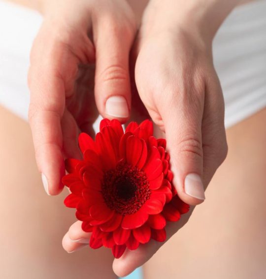 4 qualités qu’une culotte menstruelle doit avoir 4 qualités qu’une culotte menstruelle doit avoir